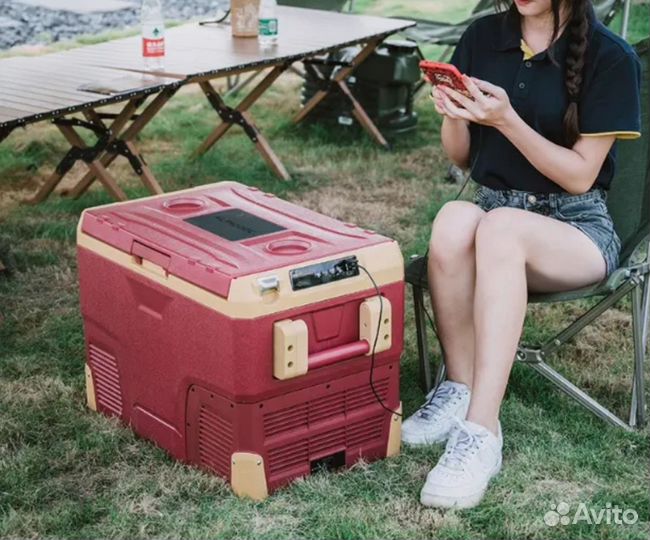 Автомобильный холодильник Alpicool IR42.12/24/220В