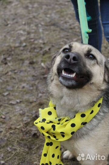 Маленькую Октавию выбросили умирать