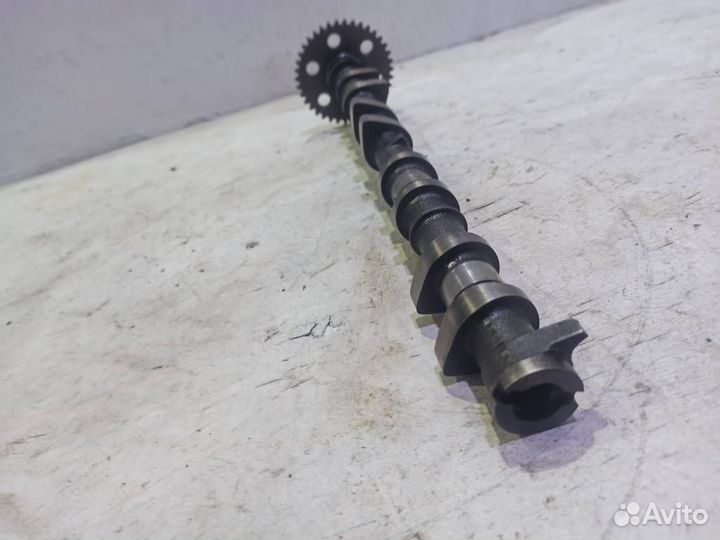 Распредвал выпускной 5147560