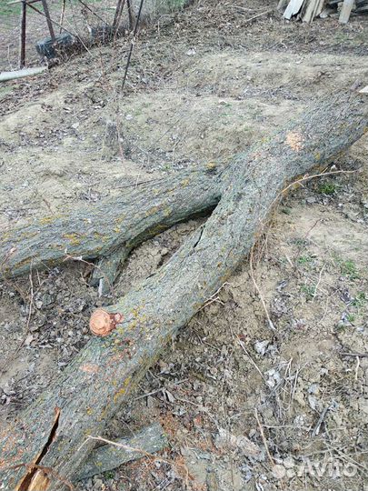 Дрова для шашлыка