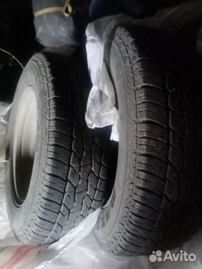 Алтайшина БС-6 12/15.5 R15 165C