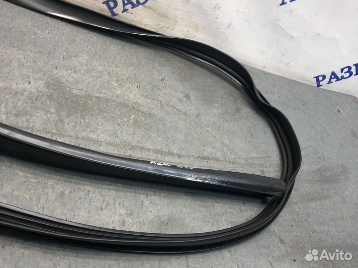 Лев уплотнитель крыши альмера н16