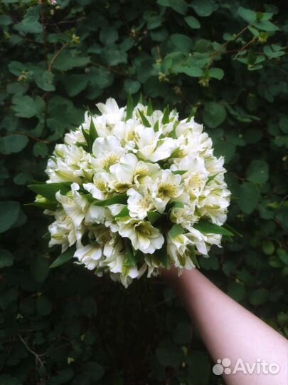 Букет невесты. Альстромерии