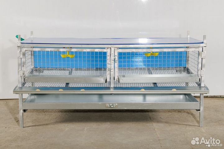 Клетка для перепелок с яйцесборником