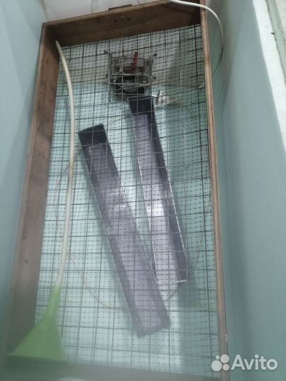 Инкубатор блиц норма 72