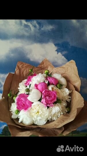Пионы срезка в букет