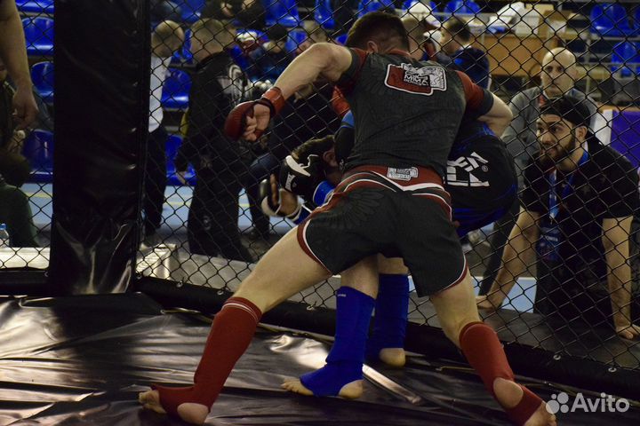 Персонатльный тренер по единоборствам