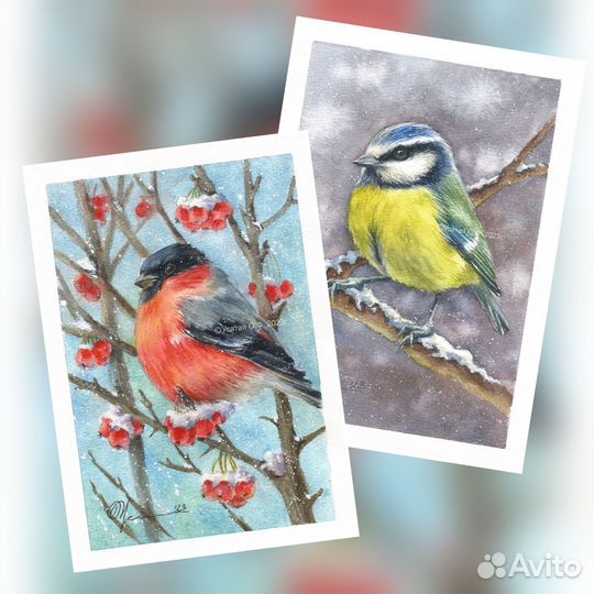 Птицы акварелью