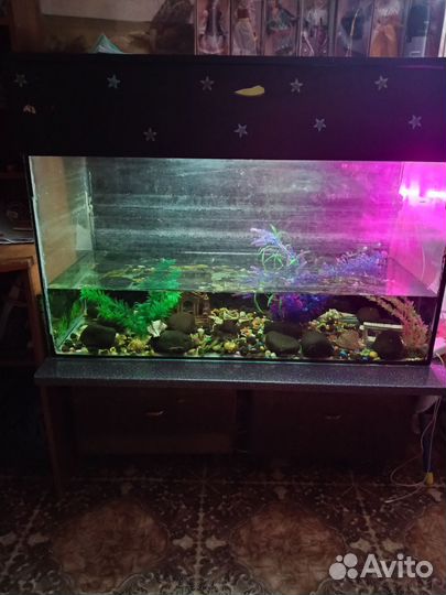 Продам аквариум 350литров. Кайеркан