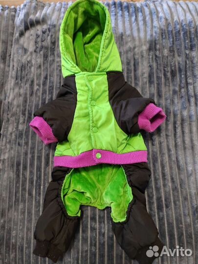 Одежда для собак