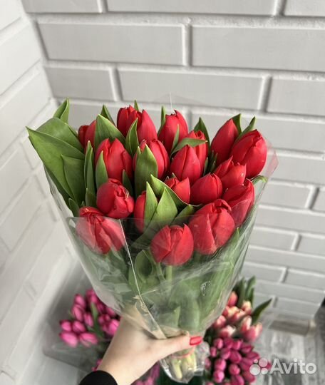 Тюльпаны к 8 марта