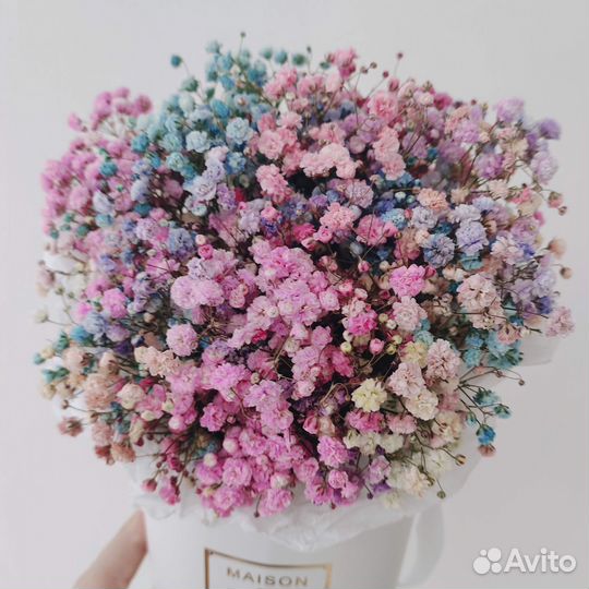 Радужная гипсофила с доставкой по Сургуту