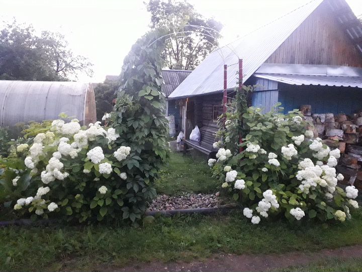 Дача 18 м² на участке 3 сот.