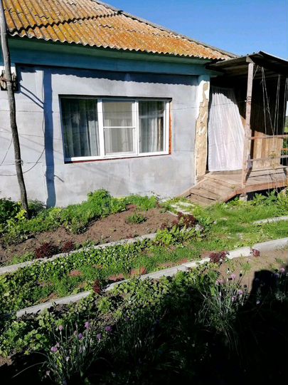 Дом 26 м² на участке 40 сот.