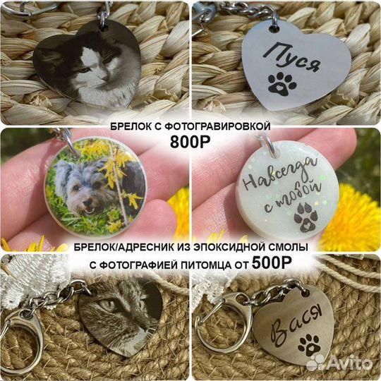 Адресник для собаки или кошки