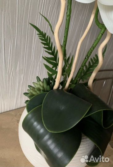 Орхидея фаленопсис силикон