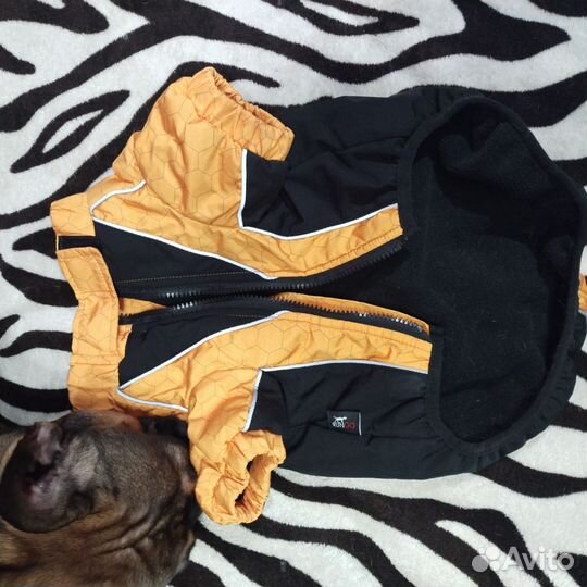 Зимняя куртка для собак