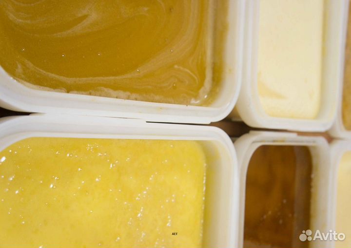 2024 Мед натуральный алтайский оптом