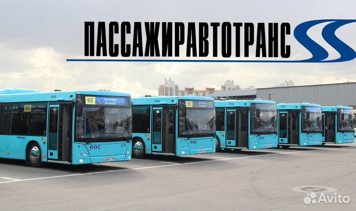 Водитель автобуса