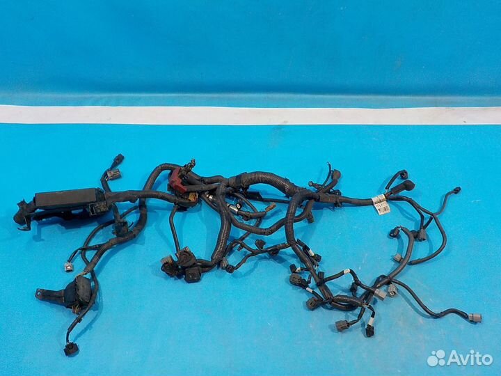Проводка двигателя Nissan Juke (F15) 2011-2019