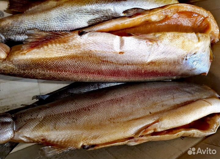 Форель копченая рыба