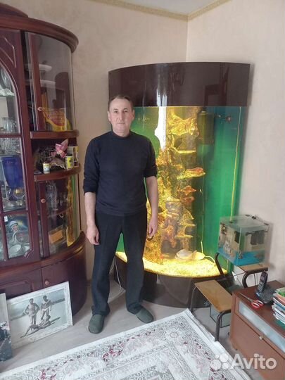 Аквариум/Обслуживание/Чистка/Перевозка