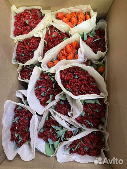 Тюльпаны к 8 марта оптом