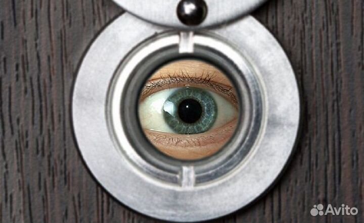 Автовахтер Кто там чип домофона - Говорящий