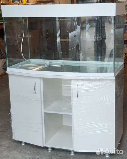 Аквариумы, террариумы, серпентарии, палюдариумы