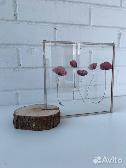 Гербарий в стекле