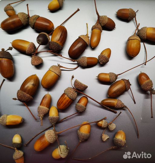 Материалы для творчества