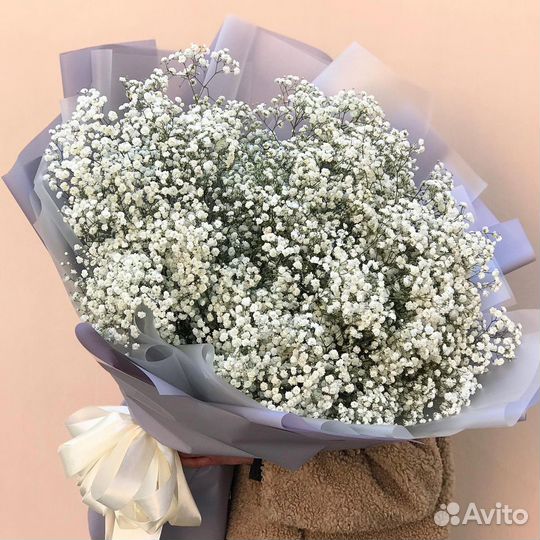 Гипсофила разных цветов