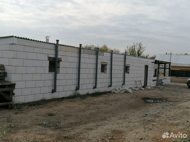 Птицеферма в черте города