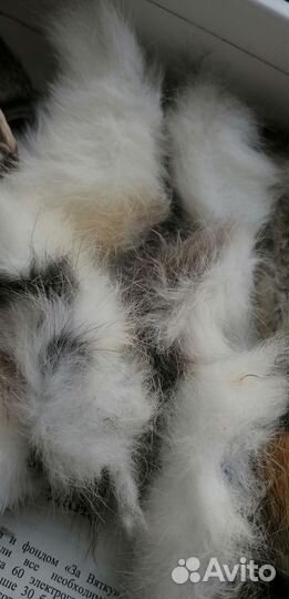 Уши, лапки, хвостики кролика для собак