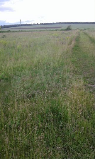 Участок 18 сот. (ИЖС)