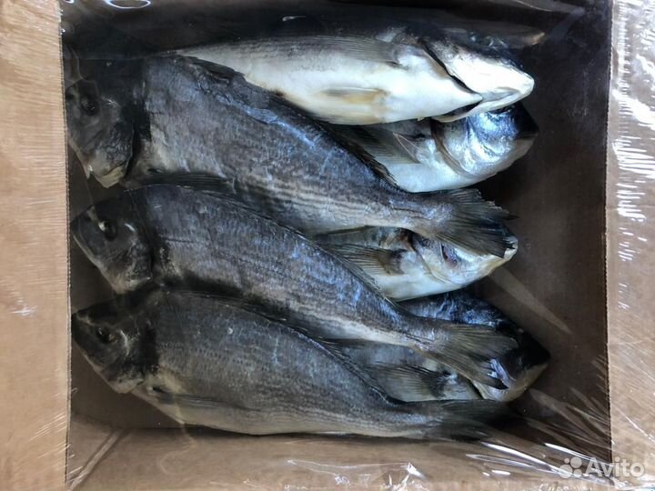Рыба от производителя