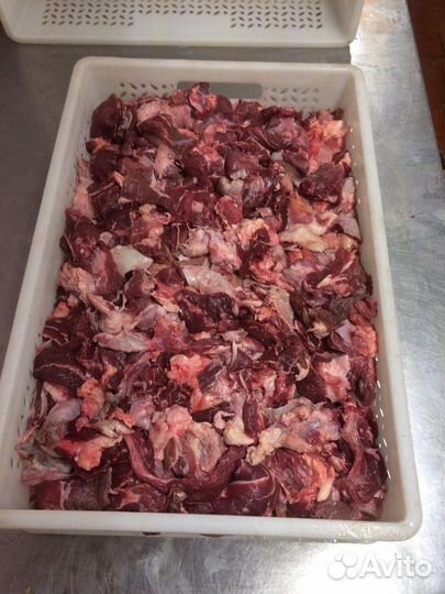 Конина для собак мясо