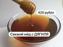 Мед с дягиля свежий урожай 2024 г