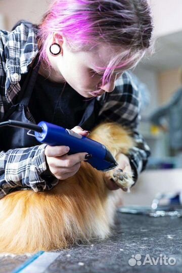 Груминг собак и кошек