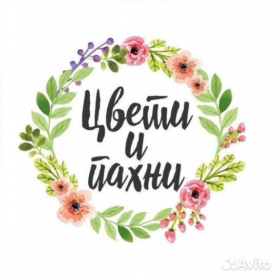 Продавец консультант