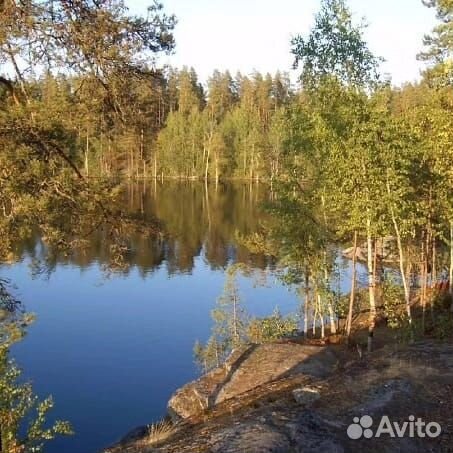 Нескучный тур в Карелию