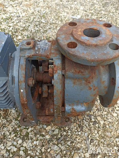 Насос водяной (двигатель и помпа)