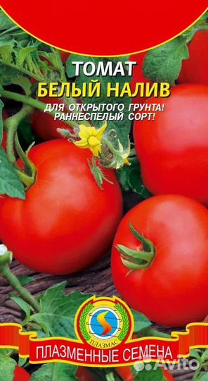 Рассада помидор, огурцов, кабачков, тыквы