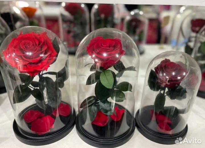 Роза в колбе