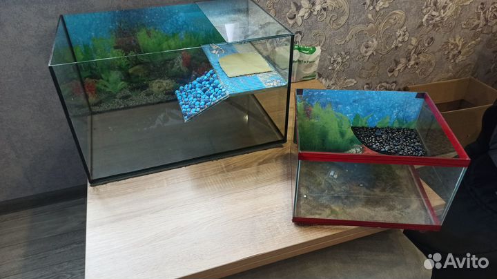 Террариум для красноухой черепахи