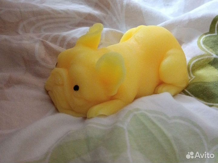 Сквиш собаки