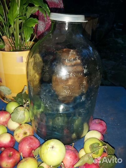 Банка 10 литров стеклянная