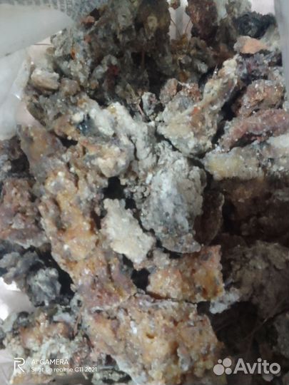 Живица кедровая(смола)