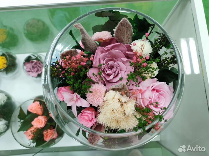 Флорариум, цветы в колбе. Не завянут до 5 лет, от