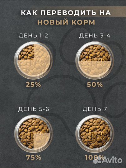 Корм для собак говядина